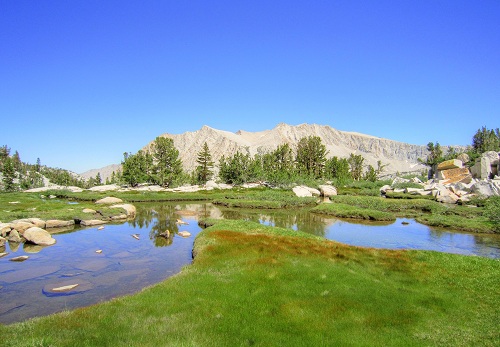 [Granite Park, Sierra Nevada]