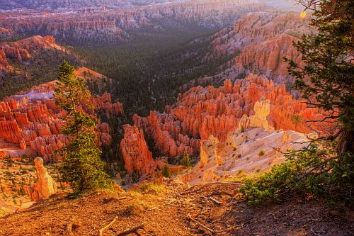 [Bryce Canyon]