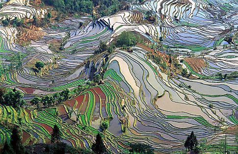 [terraces in Yunan]