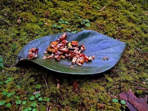 [an Obon offering]