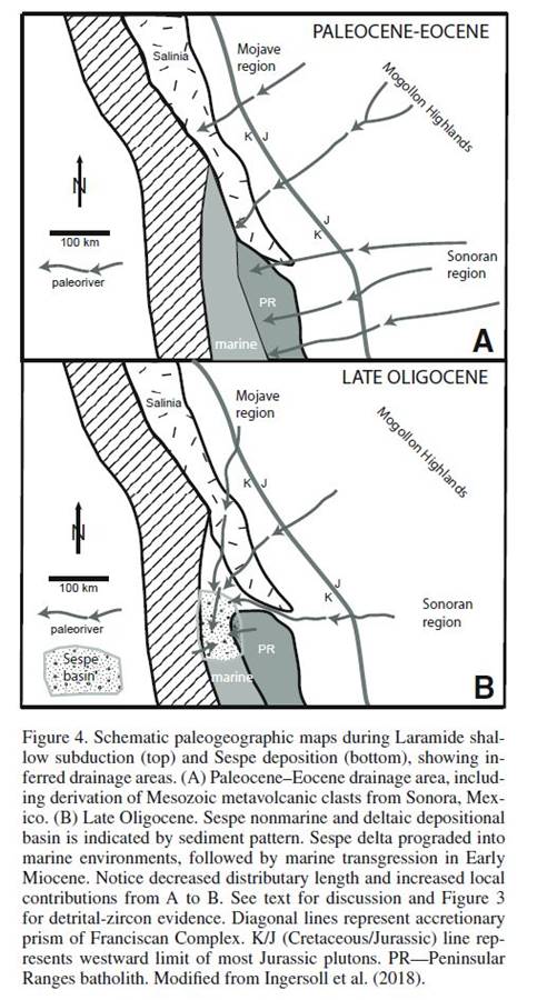 A diagram of a line of the side of a body

Description automatically generated with medium confidence